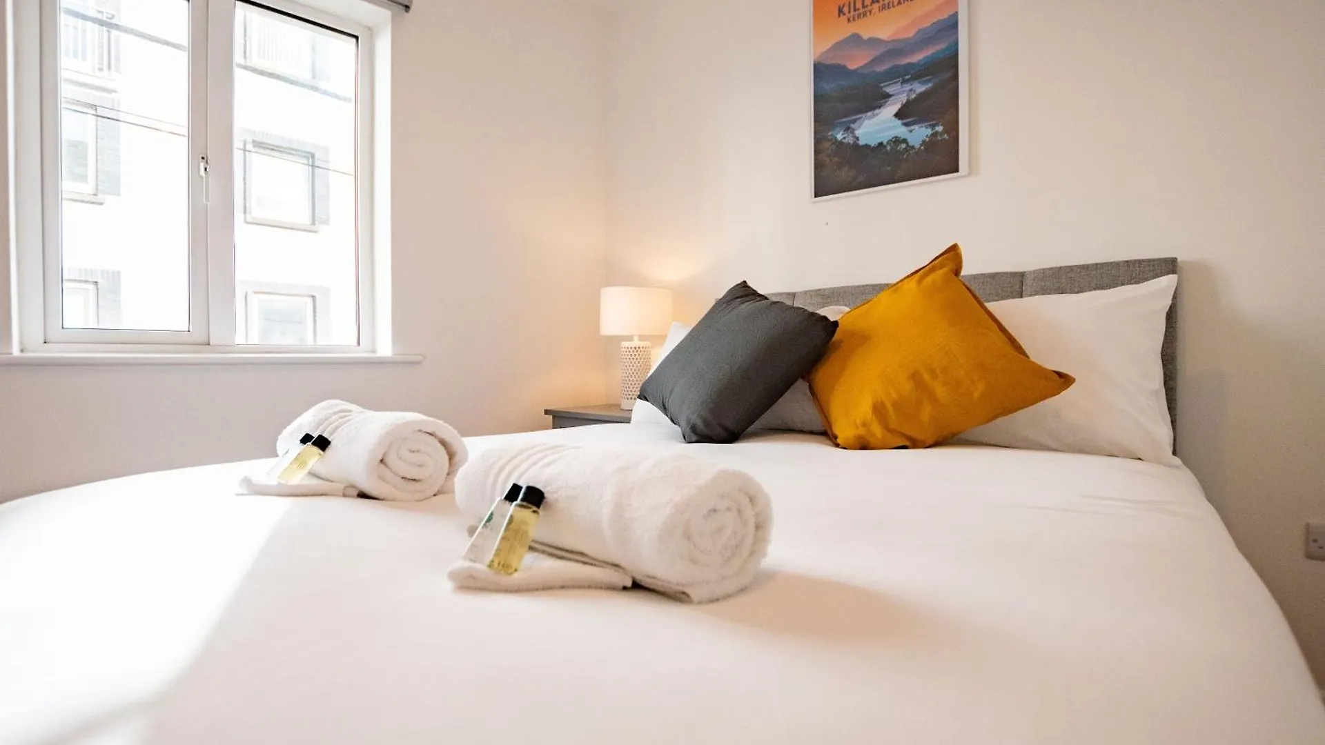 Apartment City Centre Escape With Large Terrace, Sleeps 7 Galway
