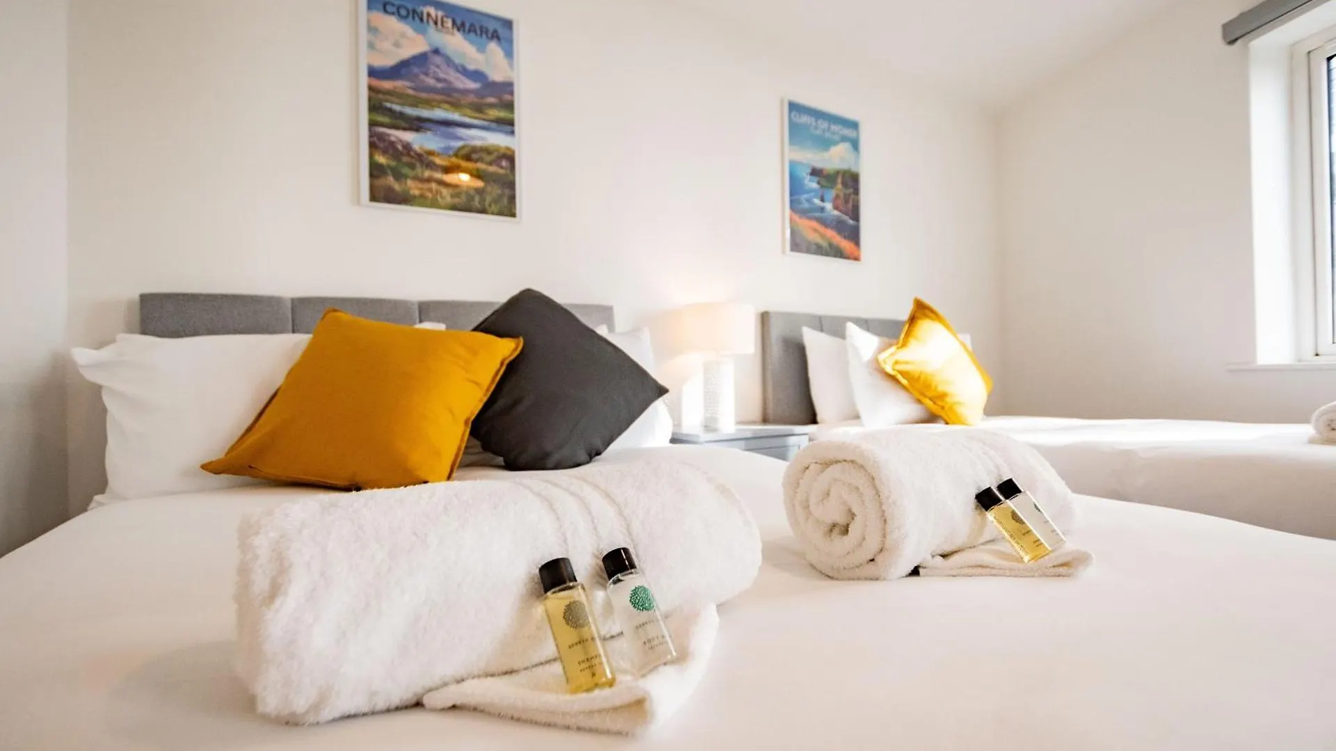 City Centre Escape With Large Terrace, Sleeps 7 Galway Apartment